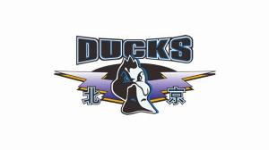 五大联赛投注-北京男篮时隔一天转发了CBA官方的《倡议书》