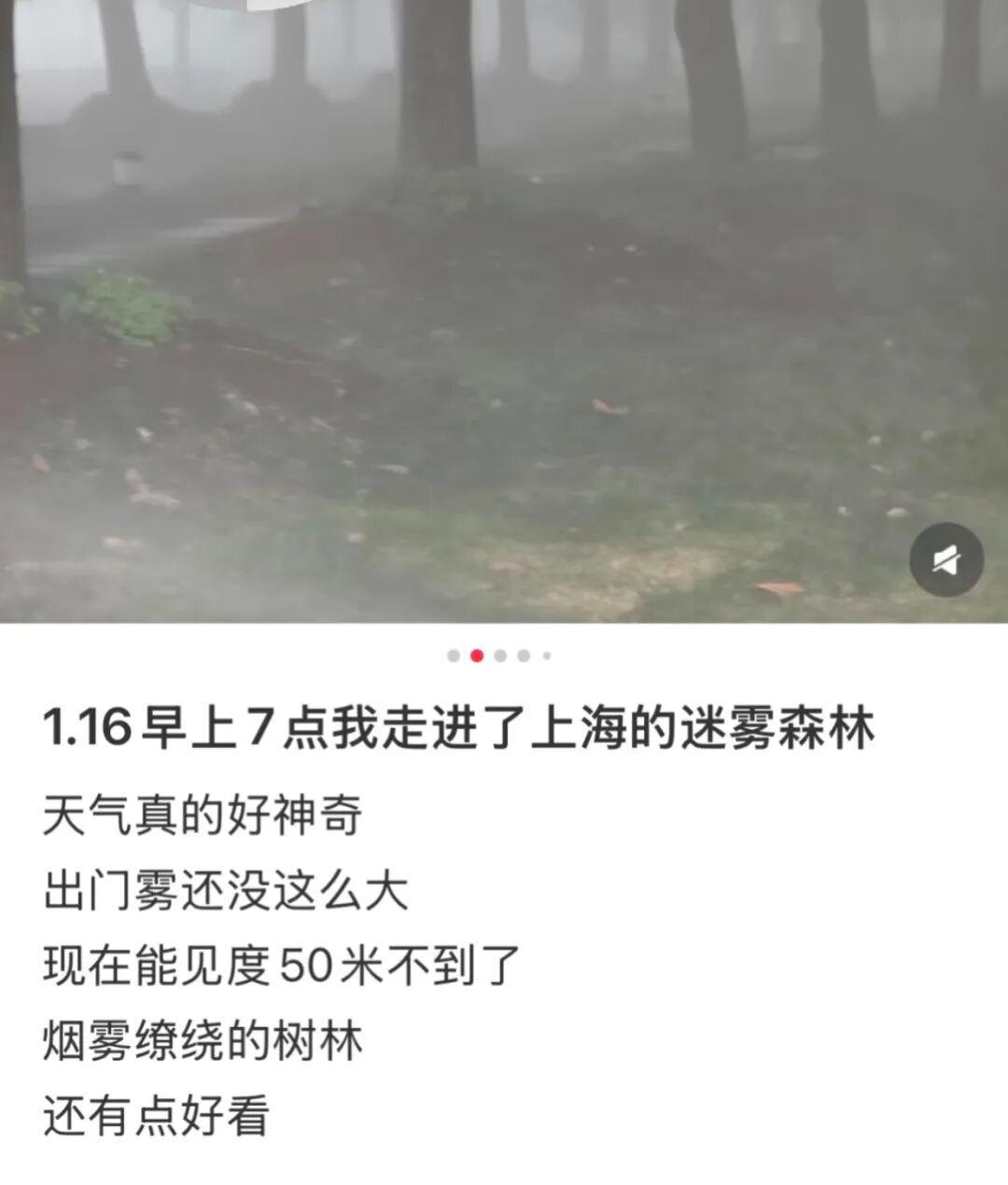 德甲直播-上海：入冬以来最强雨雪冰冻将袭！网友：没见过这么大雾，路口竟看不到红绿灯！